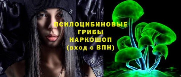 apvp Алзамай