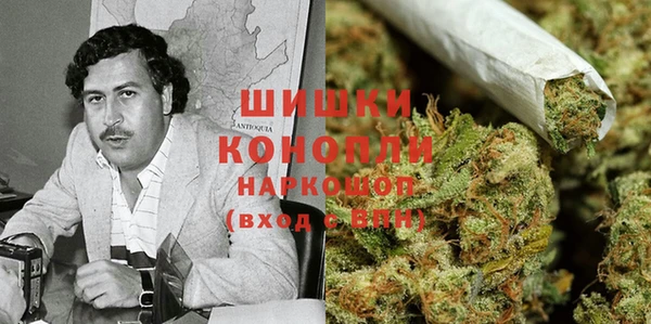 apvp Алзамай