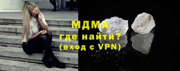 индика Алексин