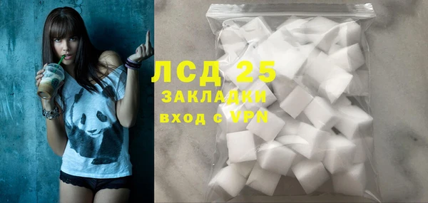 индика Алексин