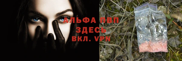 apvp Алзамай
