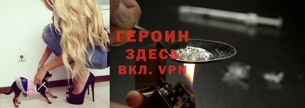 индика Алексин