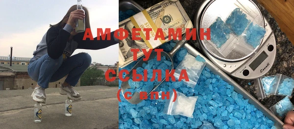 индика Алексин