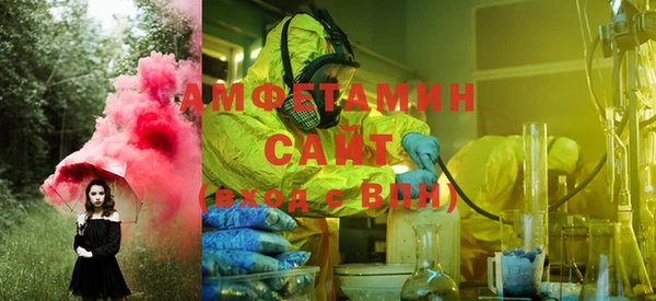 индика Алексин