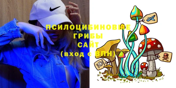 apvp Алзамай