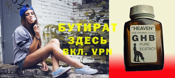 индика Алексин