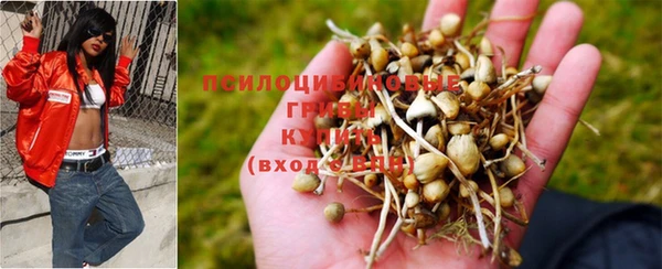 индика Алексин