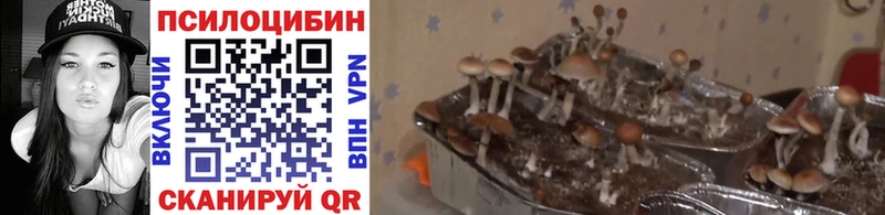 Псилоцибиновые грибы Magic Shrooms  Боровск 
